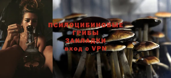 соль курить ск Богородицк
