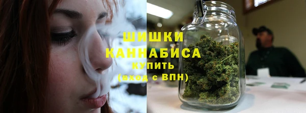 тгк Богородск
