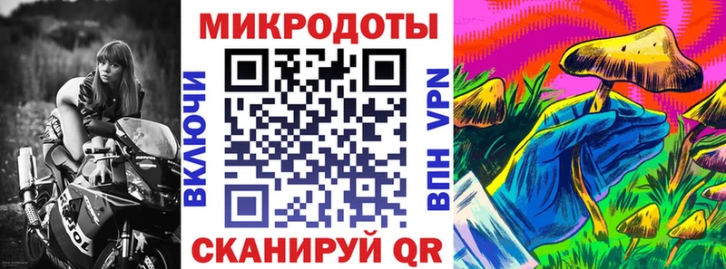 купить   Новохопёрск  Галлюциногенные грибы Cubensis 